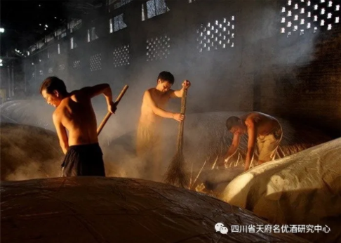 你所不知道的繁复的窖池管理