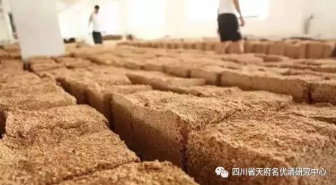 对传统大曲的新认识