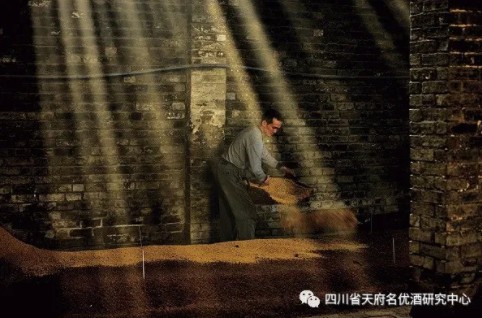 为什么说中国白酒独一无二？