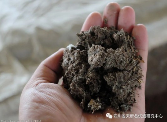 白酒酿造窖泥到底有什么用？